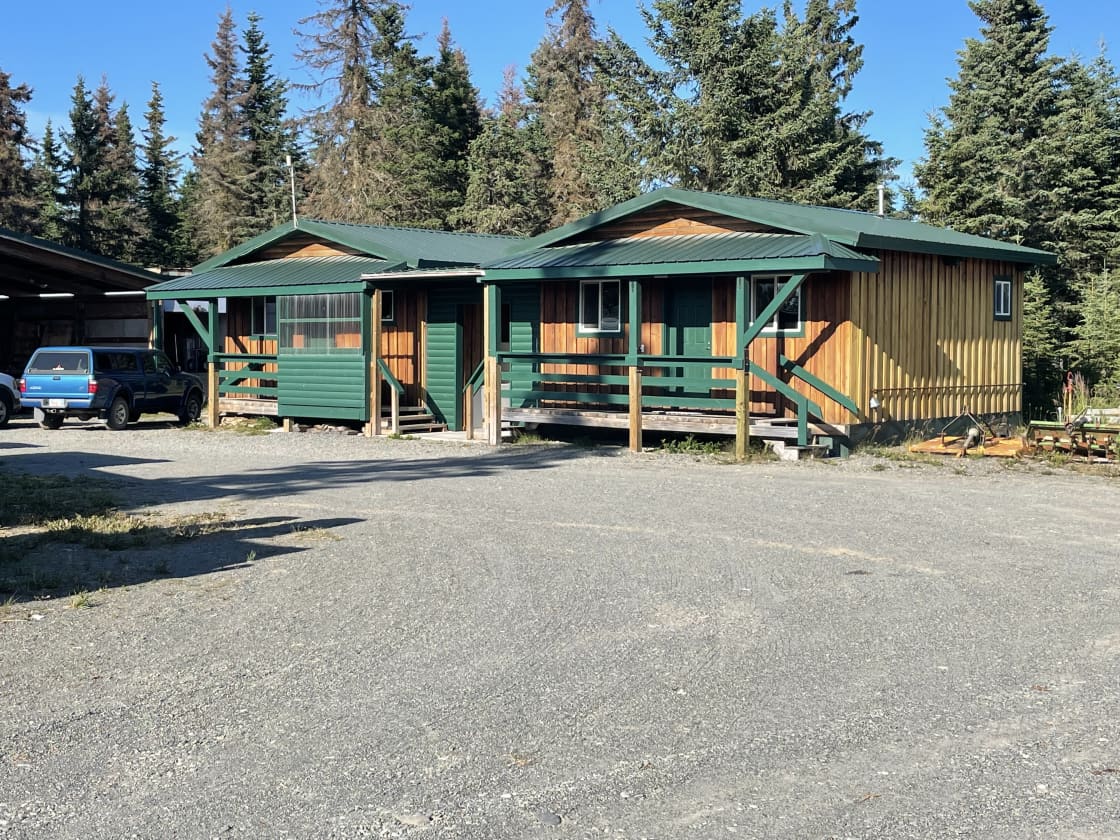 Wooden cabins with green porches and spruce trees at Albatross Fish Camp
